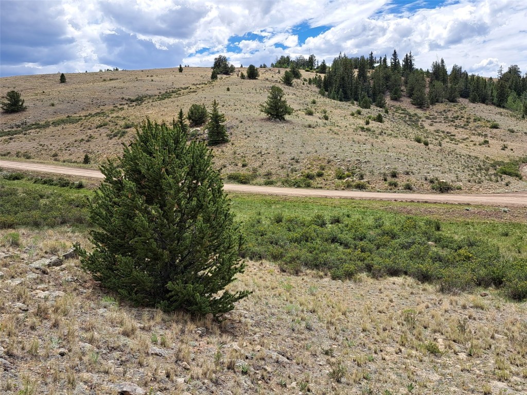 924 Mustang Road Como, CO 80456 - Photo 18 of 27 a view of a yard with a mountain