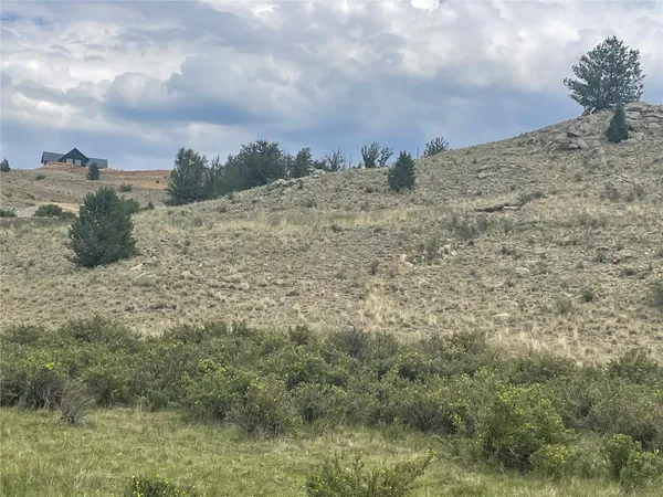 a view of a dry yard with a mountain in the background