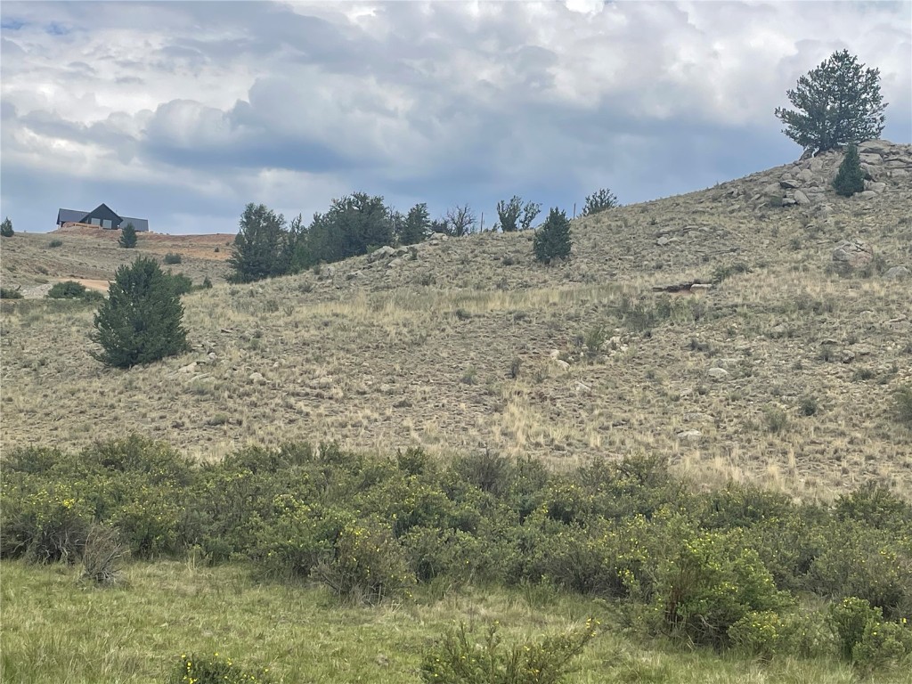 924 Mustang Road Como, CO 80456 - Photo 2 of 27 a view of a dry yard with a mountain in the background