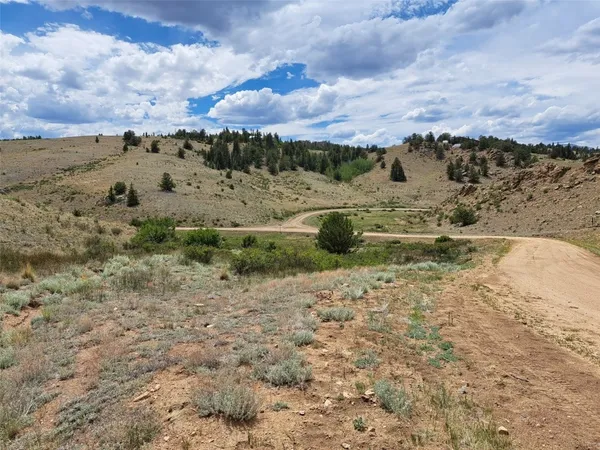 a view of a dry field with trees in the background