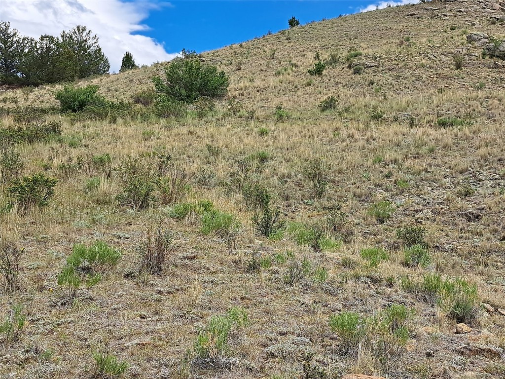 924 Mustang Road Como, CO 80456 - Photo 23 of 27 a view of a dry field with trees in the background