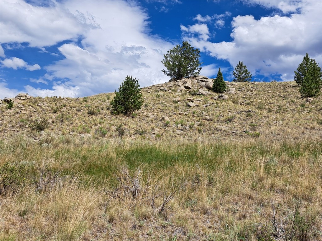 924 Mustang Road Como, CO 80456 - Photo 25 of 27 a view of a dry yard in front of the house