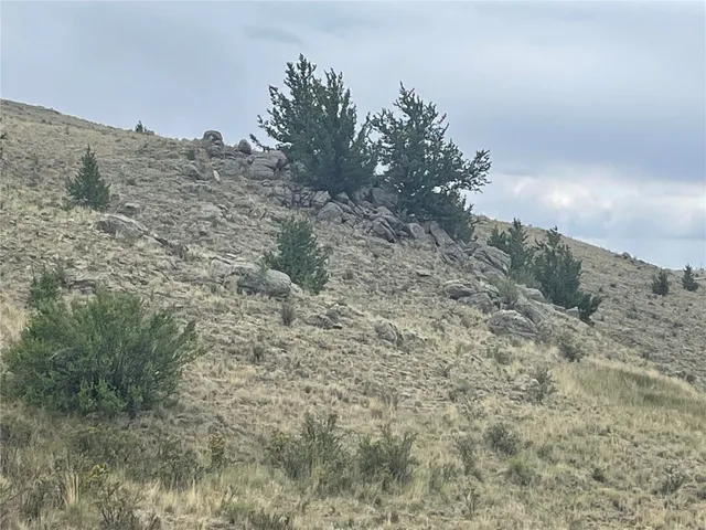 a view of a dry yard with mountains in the background