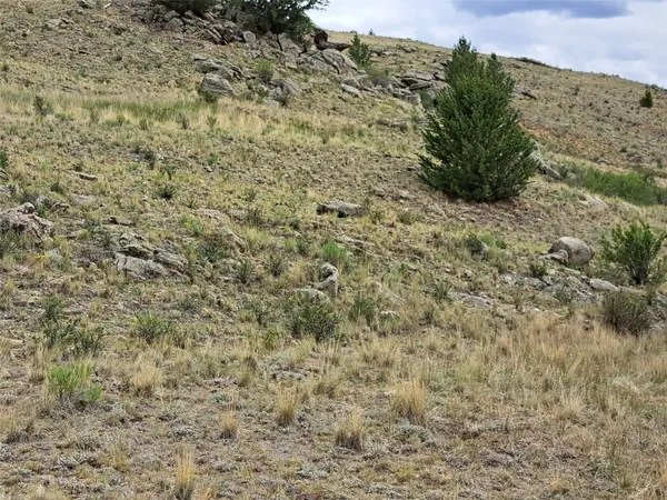 a view of a yard with a dry yard