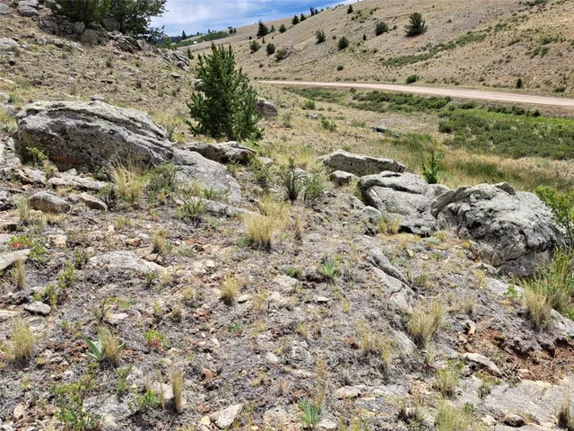 a view of a field with a tree