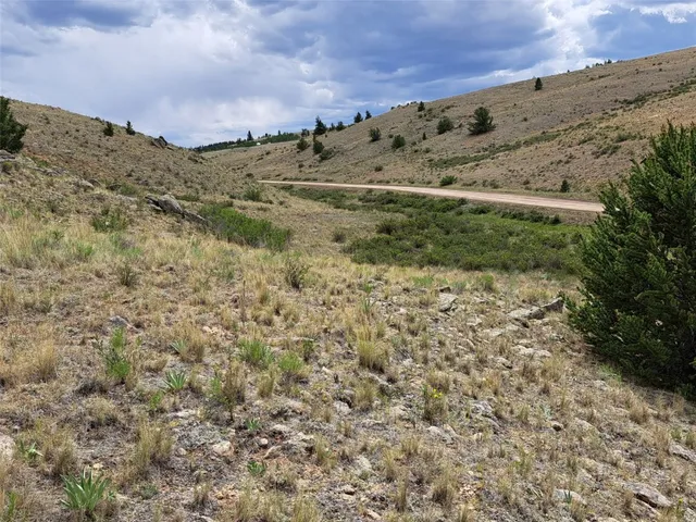 a view of a field with a mountain in the background