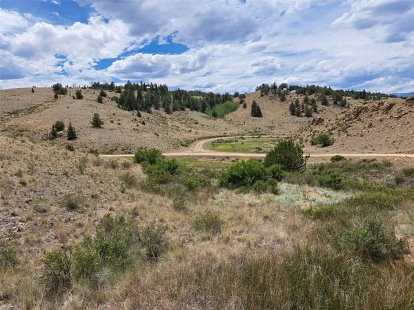 a view of a dry yard with lots of trees