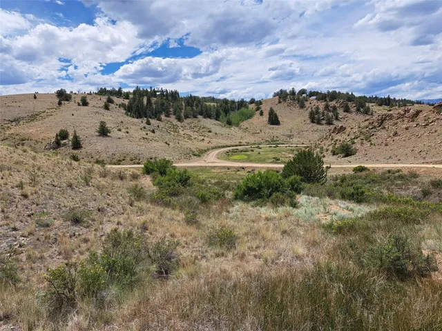 a view of a dry yard with lots of trees