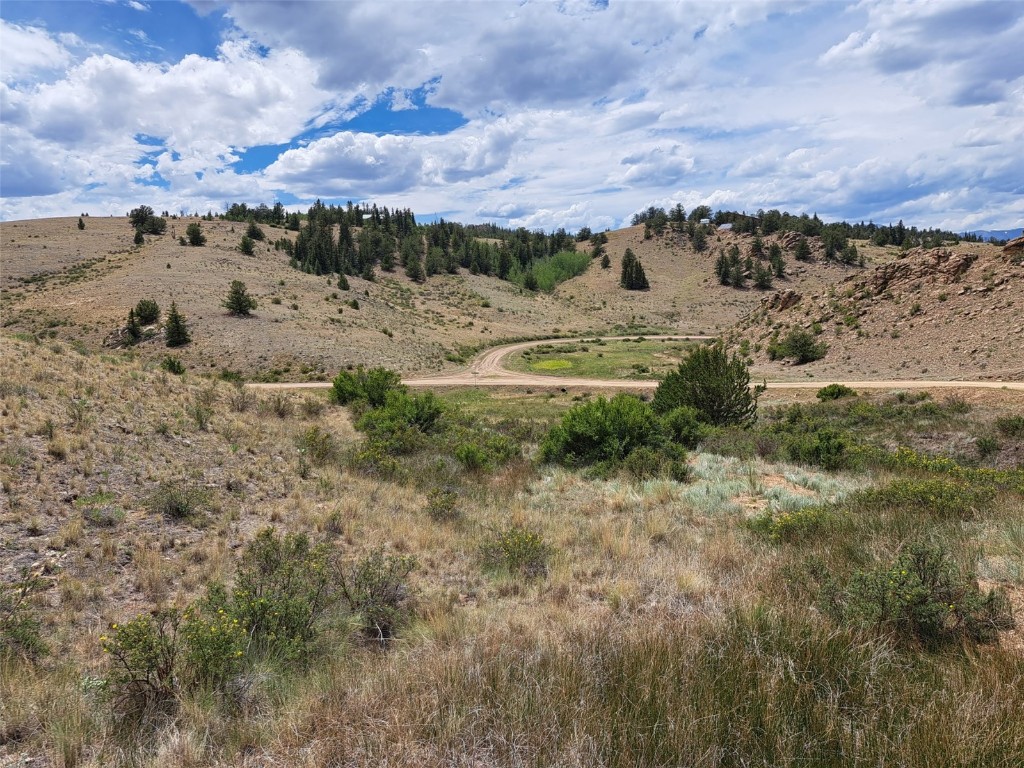 924 Mustang Road Como, CO 80456 - Photo 8 of 27 a view of a dry yard with lots of trees