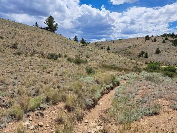 a view of a dry field with trees in background