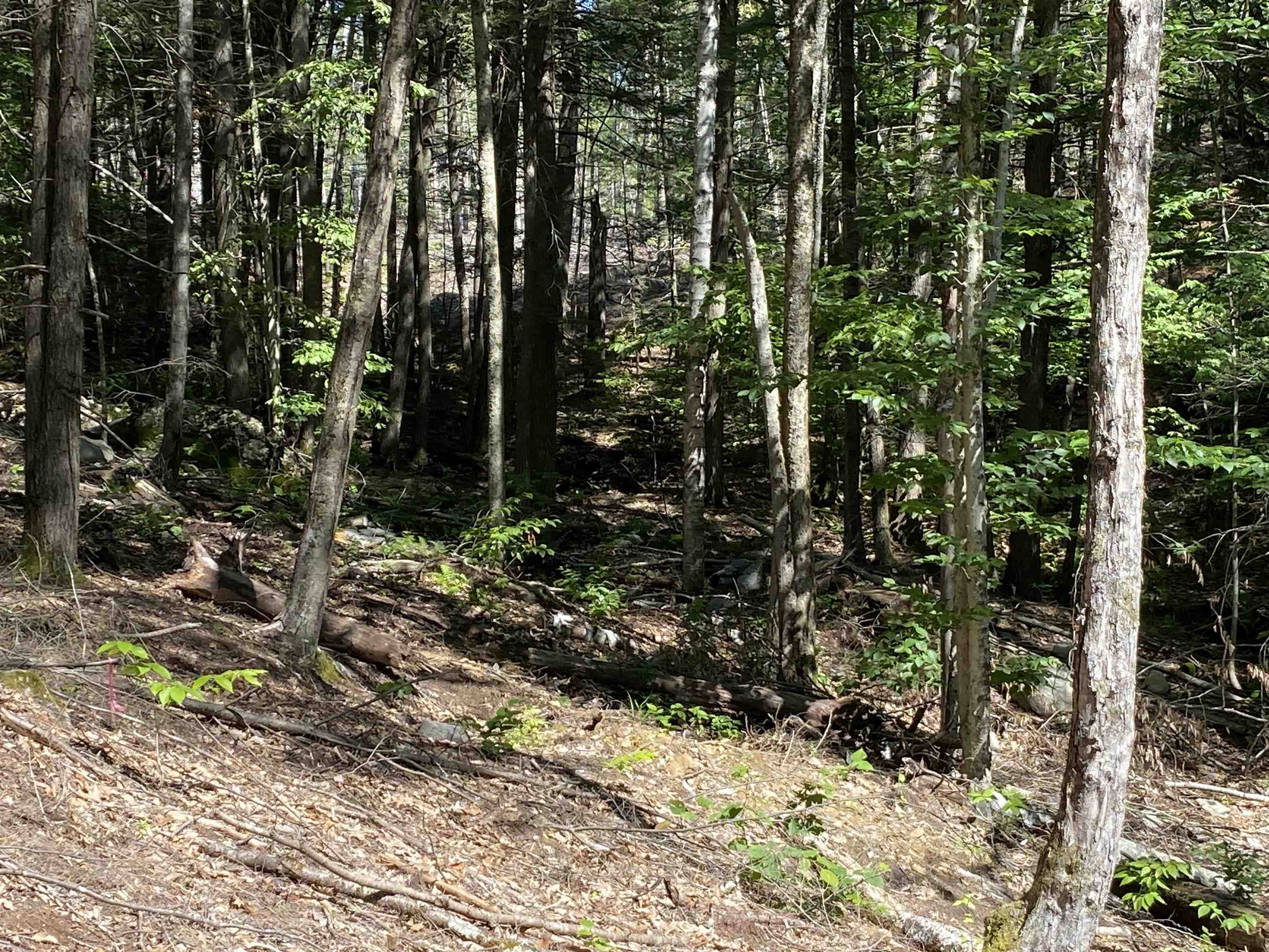 0 Poor Farm Road Farmington, NH 03835 - Photo 4 of 9