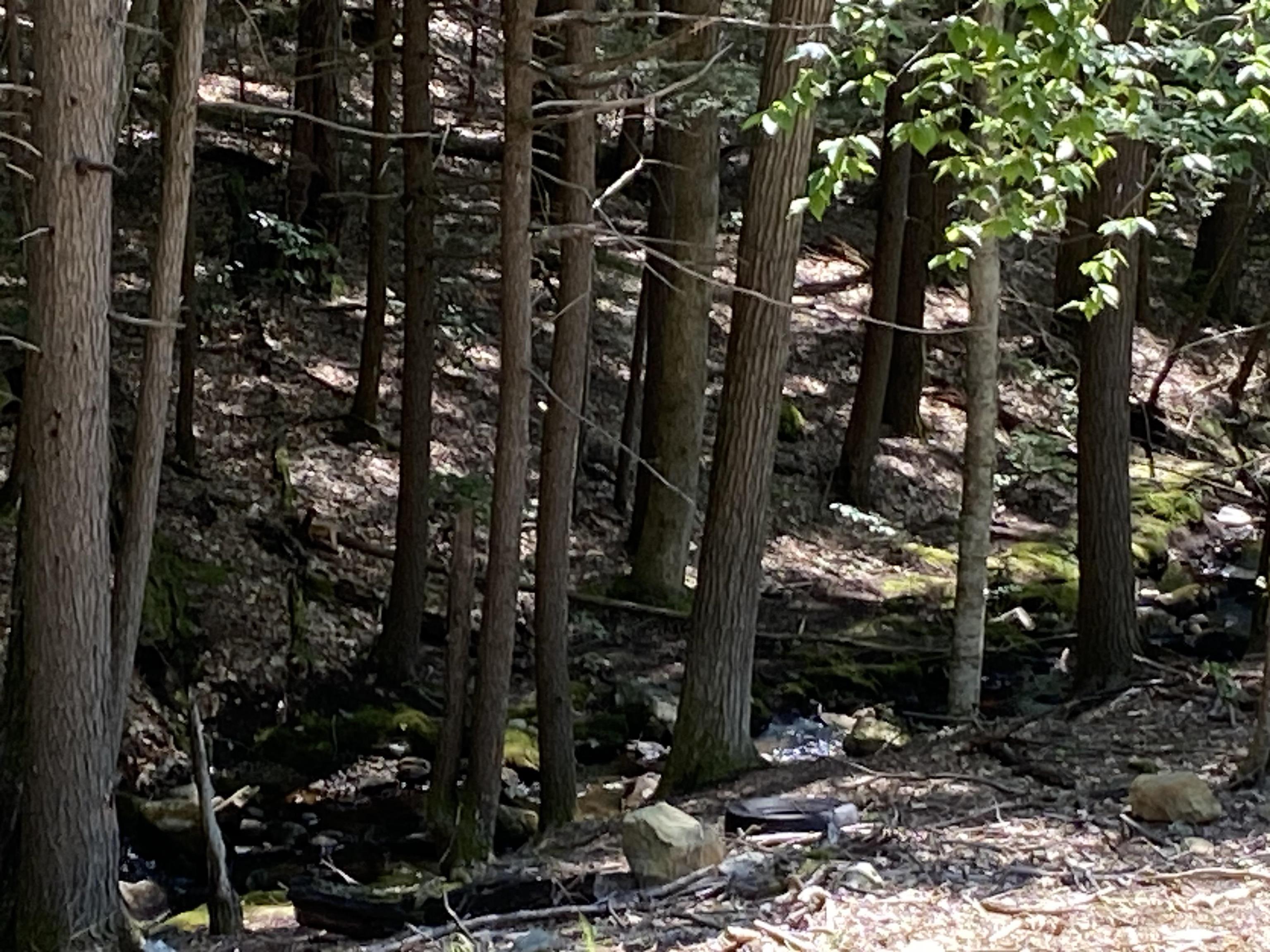 0 Poor Farm Road Farmington, NH 03835 - Photo 5 of 9