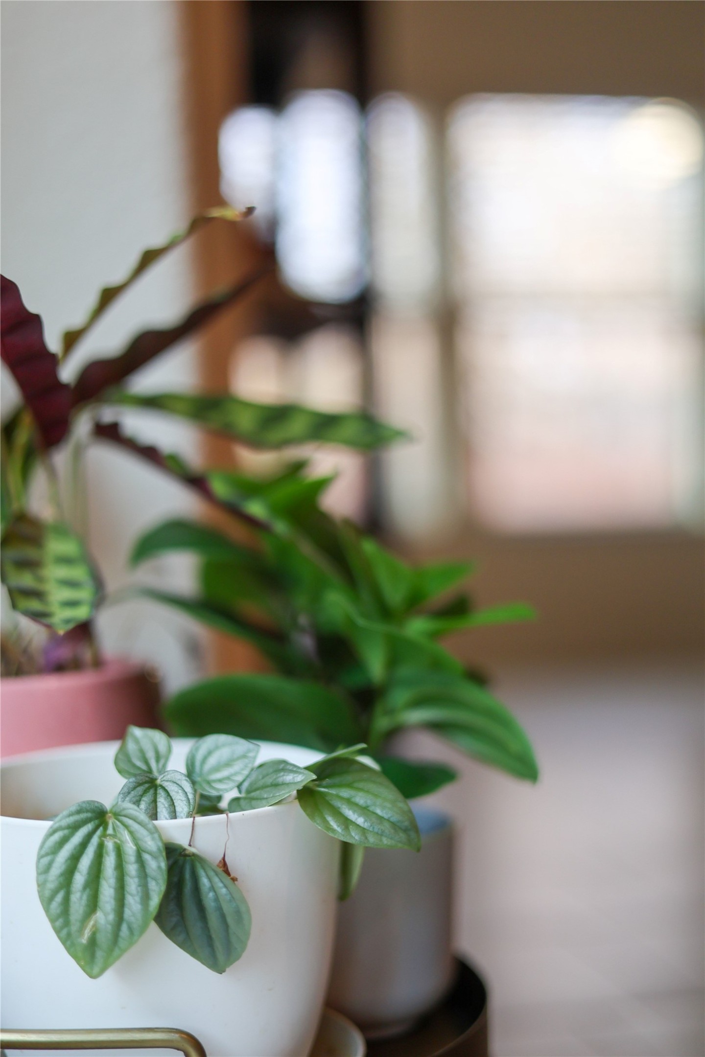 10024 Deer Chase Trail Austin, TX 78747 - Photo 16 of 33