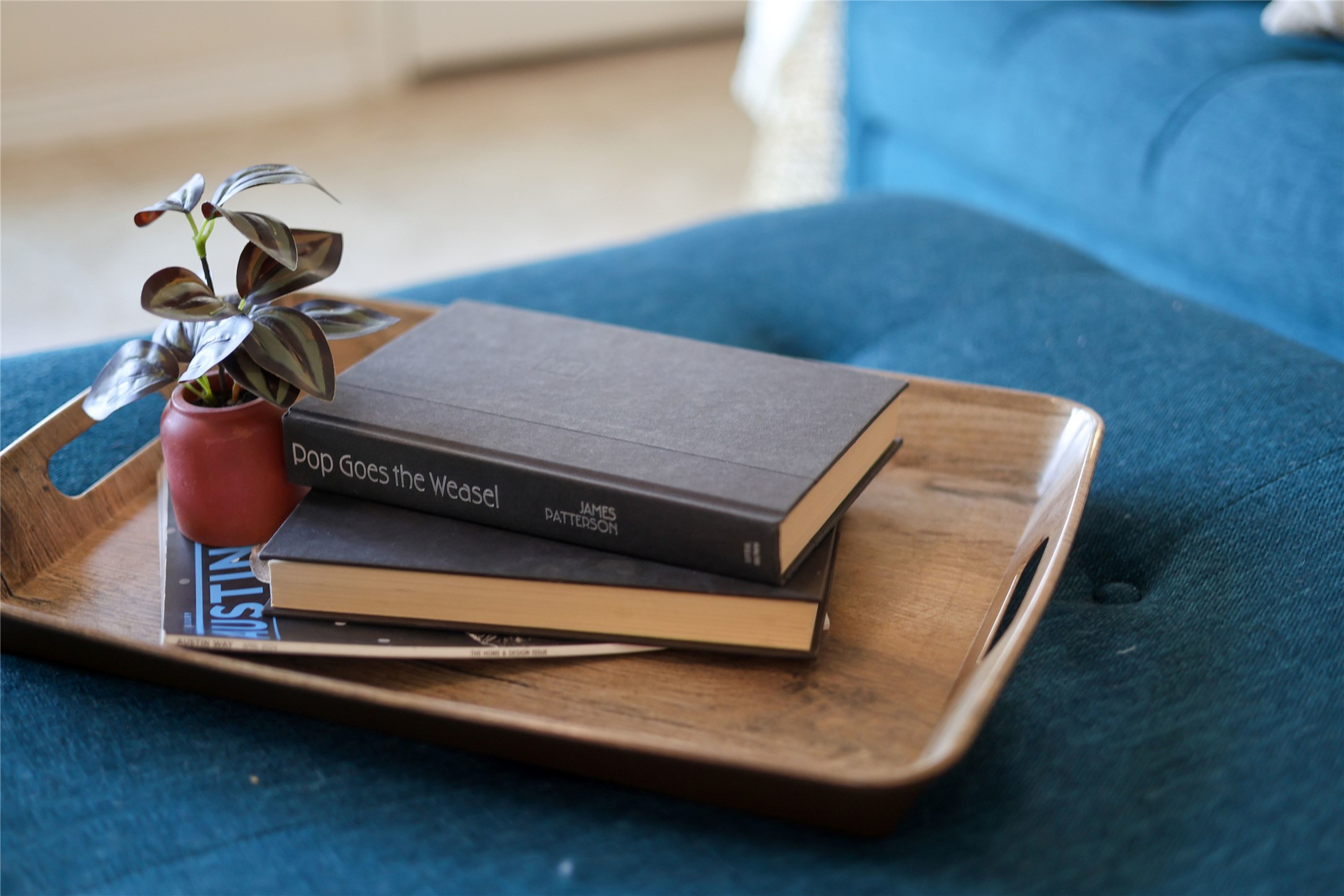 10024 Deer Chase Trail Austin, TX 78747 - Photo 4 of 33