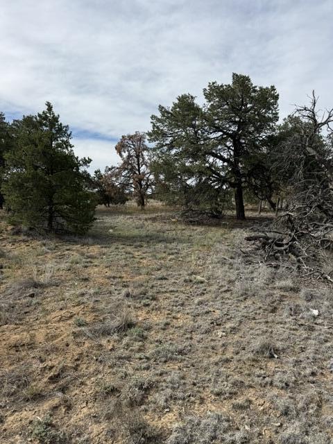 113 Rockhouse Road Ramah, NM 87357 - Photo 8 of 20 Gallery Image 8