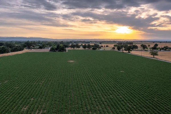 a view of a green field with an outdoor space