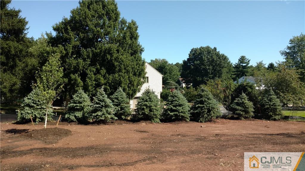 2028 Oak Tree Road Edison, NJ 08820 - Photo 37 of 39 a street view along with trees
