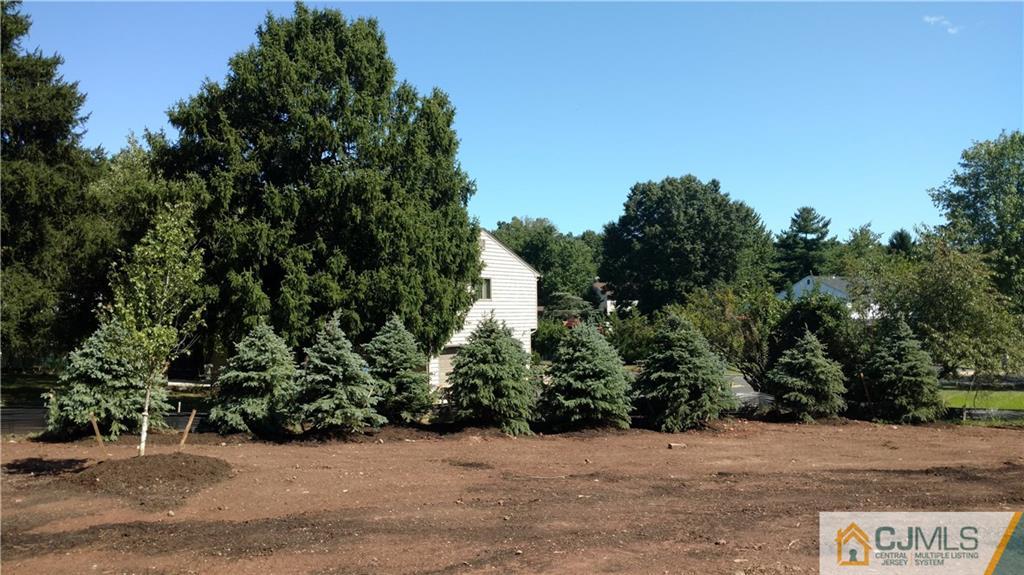 2028 Oak Tree Road Edison, NJ 08820 - Photo 38 of 39 a street view with tall trees