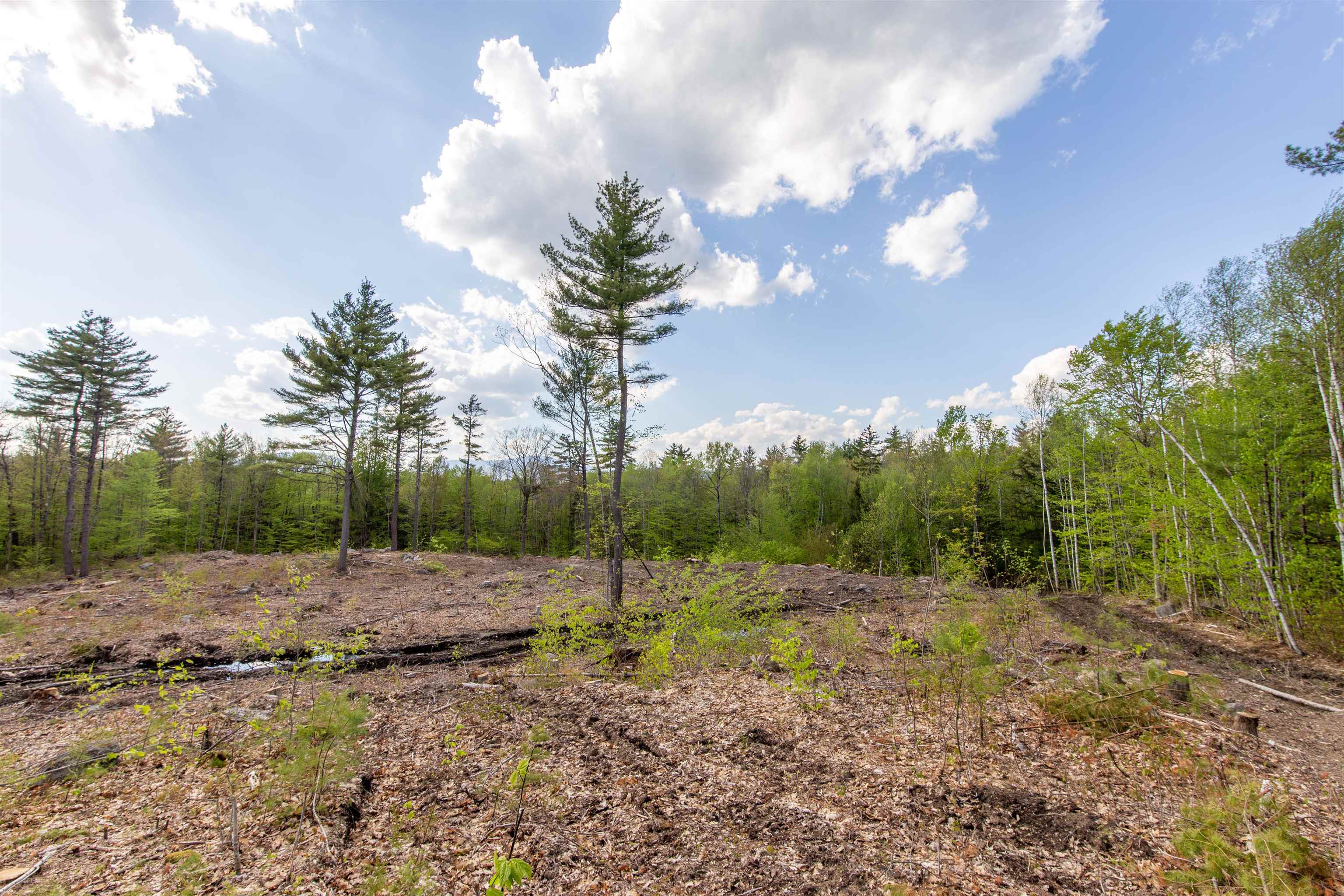 0 Taterboro Road Sandwich, NH 03227 - Photo 12 of 27