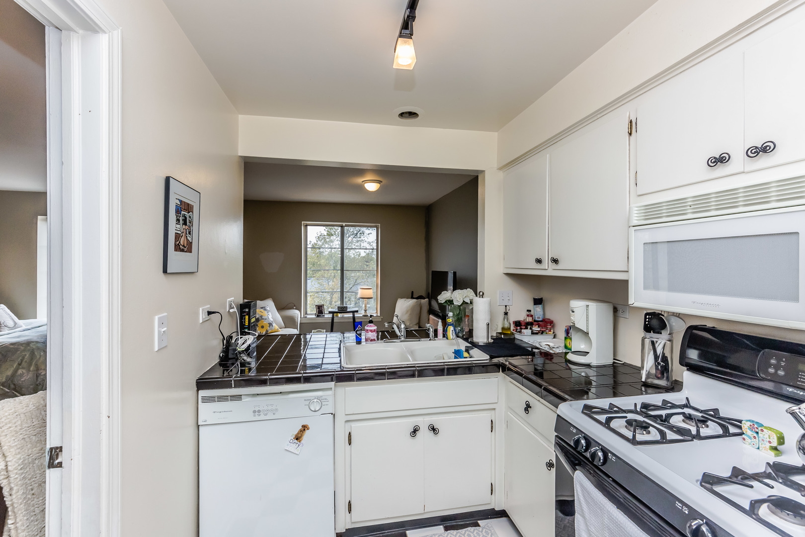 1455 Shermer Road, Unit 505C Northbrook, IL 60062 - Photo 11 of 19