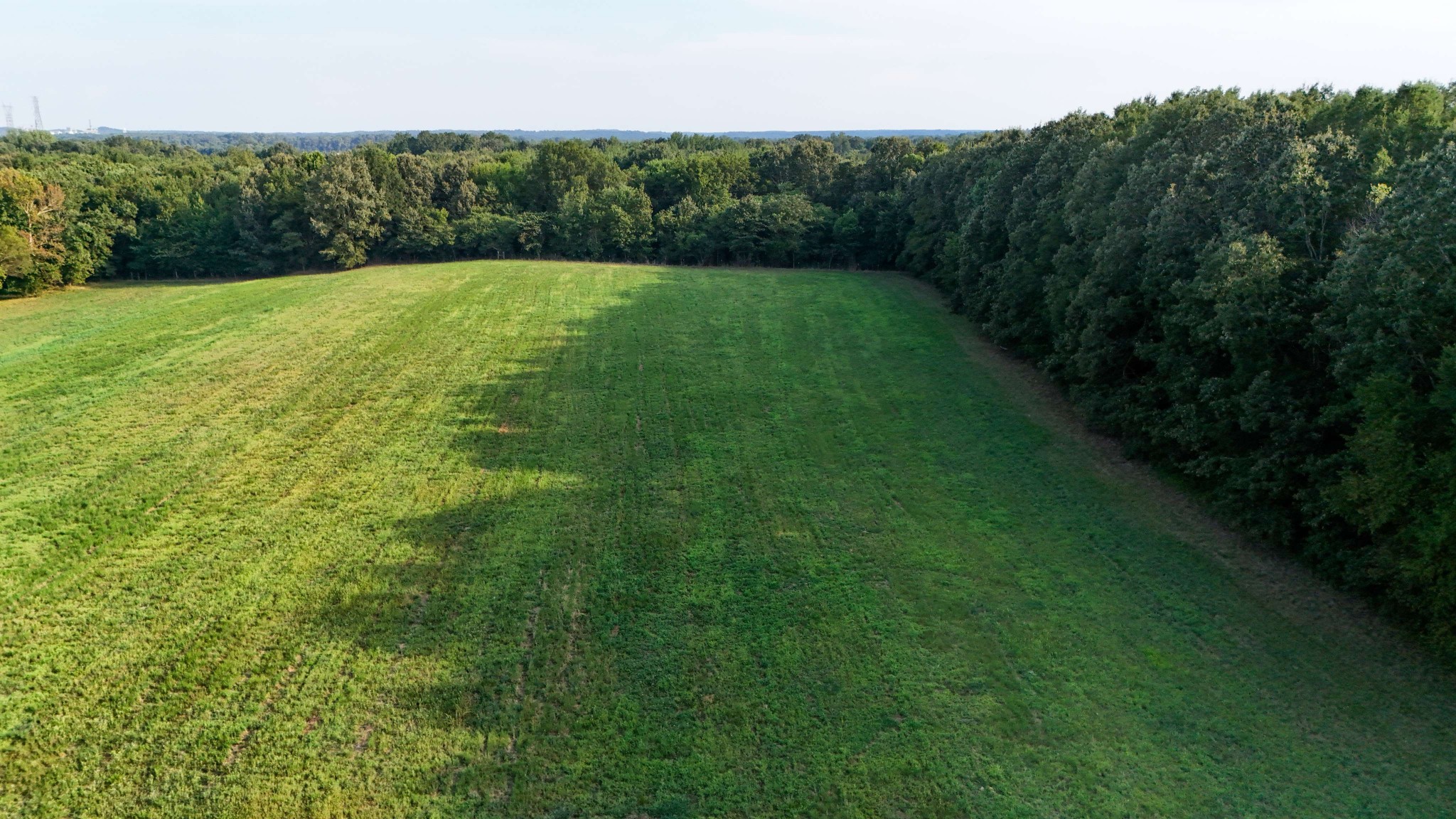 0 Leath Road Counce, TN 38326 - Photo 26 of 50 a view of outdoor space and yard