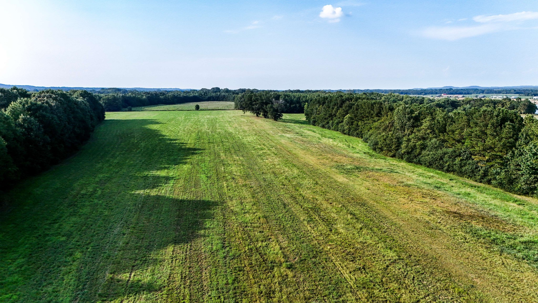 0 Leath Road Counce, TN 38326 - Photo 27 of 50 a view of a lake with green space