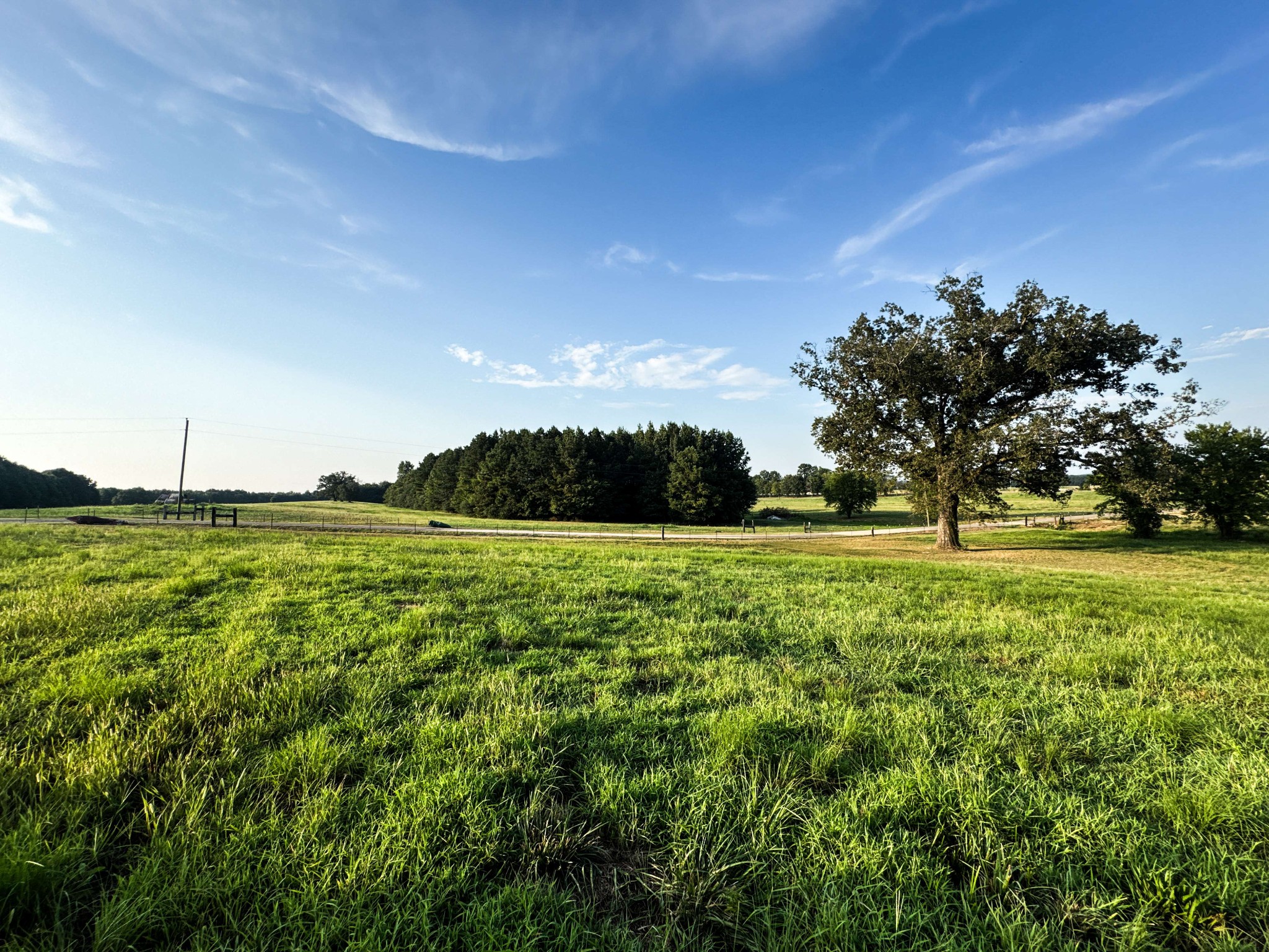 0 Leath Road Counce, TN 38326 - Photo 28 of 50 a view of a green field