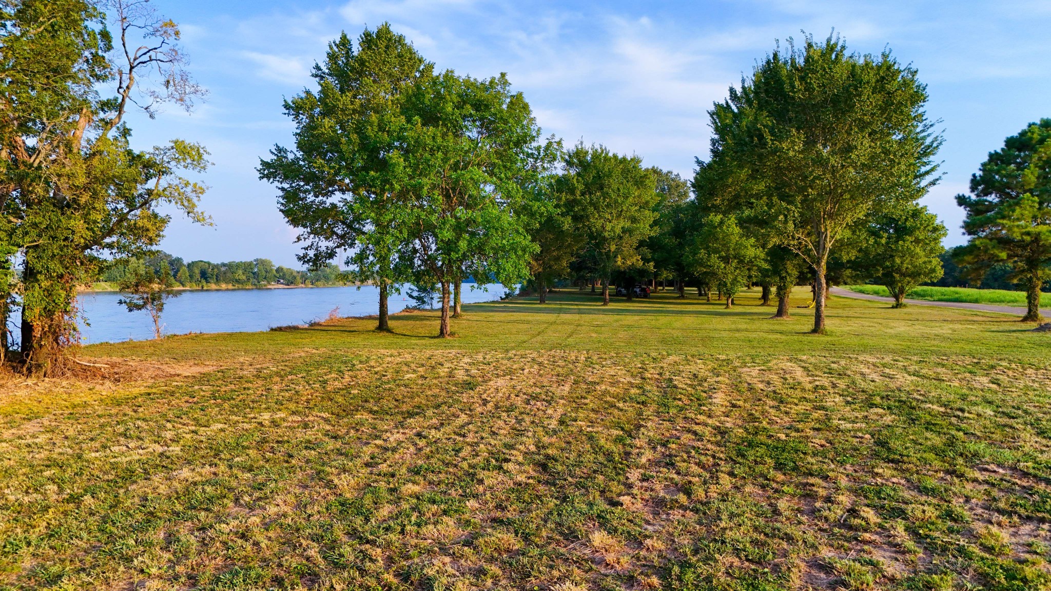 0 Leath Road Counce, TN 38326 - Photo 31 of 50 a view of a ground with large trees