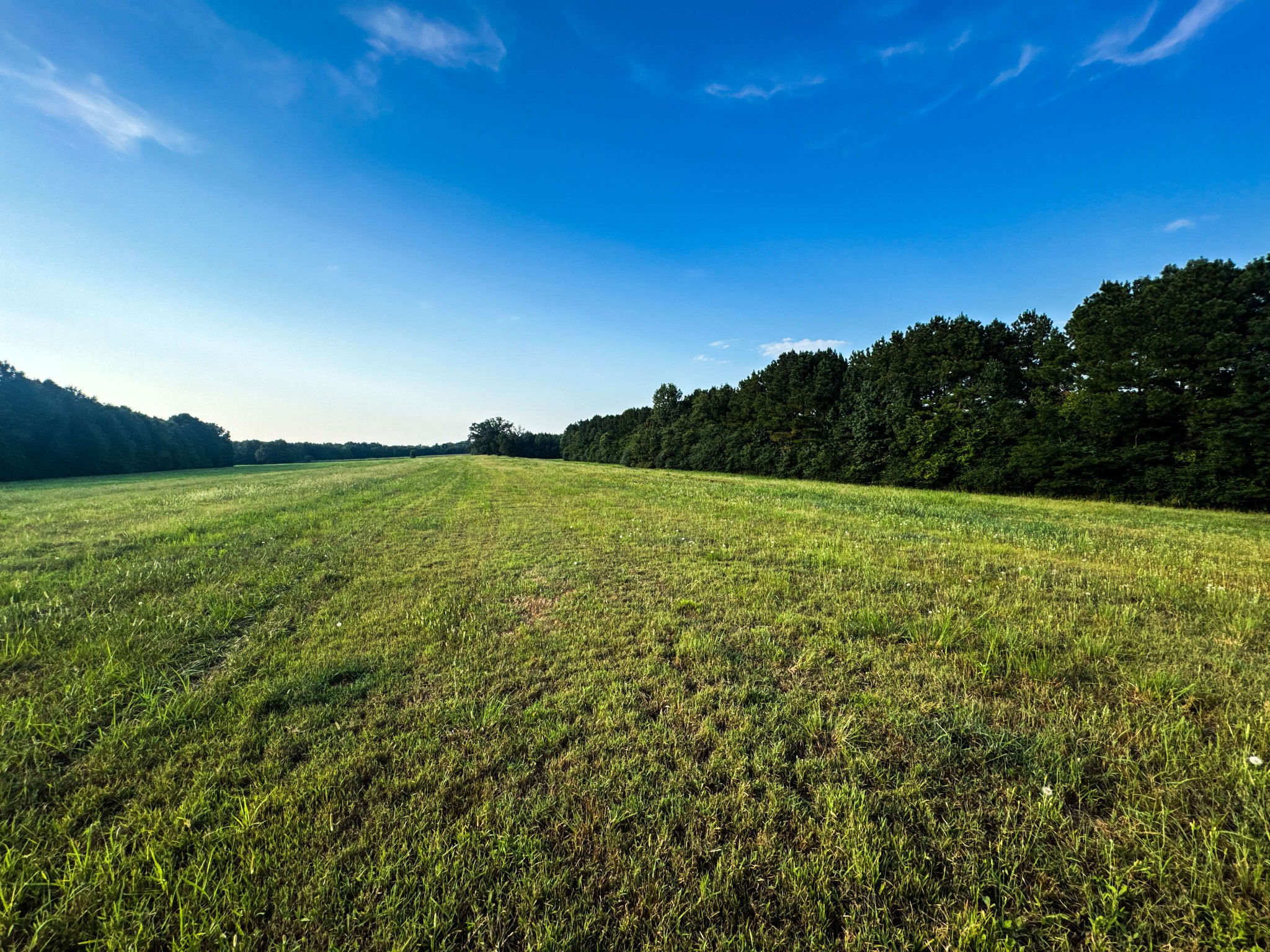 0 Leath Road Counce, TN 38326 - Photo 32 of 50 a view of a field with an ocean view