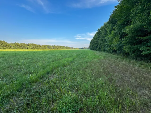 a view of an ocean from a yard
