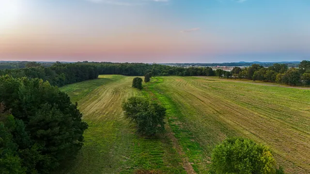a view of a chair and table in the backyard