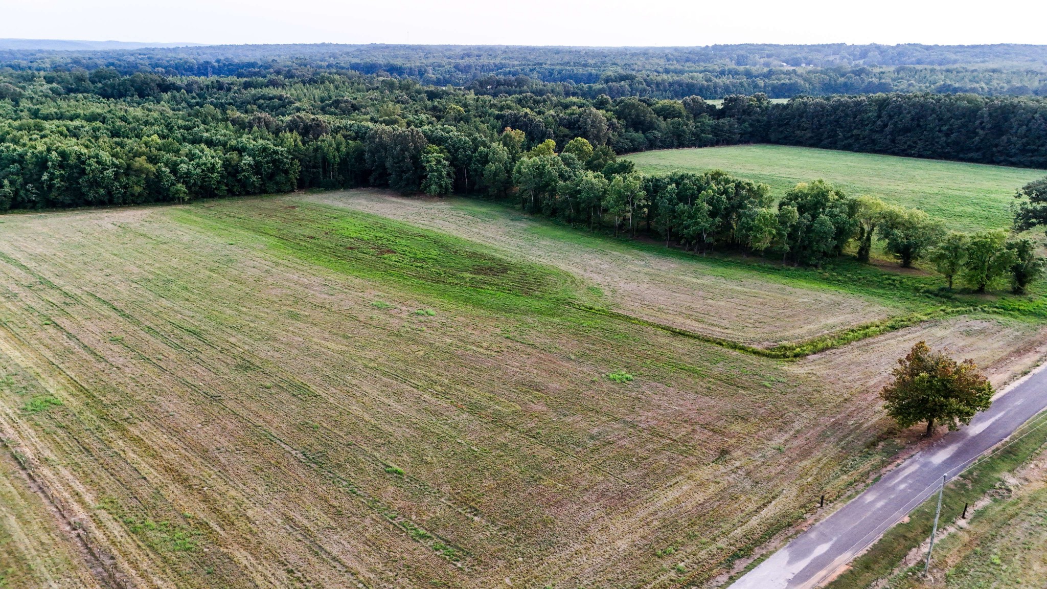 0 Leath Road Counce, TN 38326 - Photo 35 of 50 a view of a grassy area with an aerial view