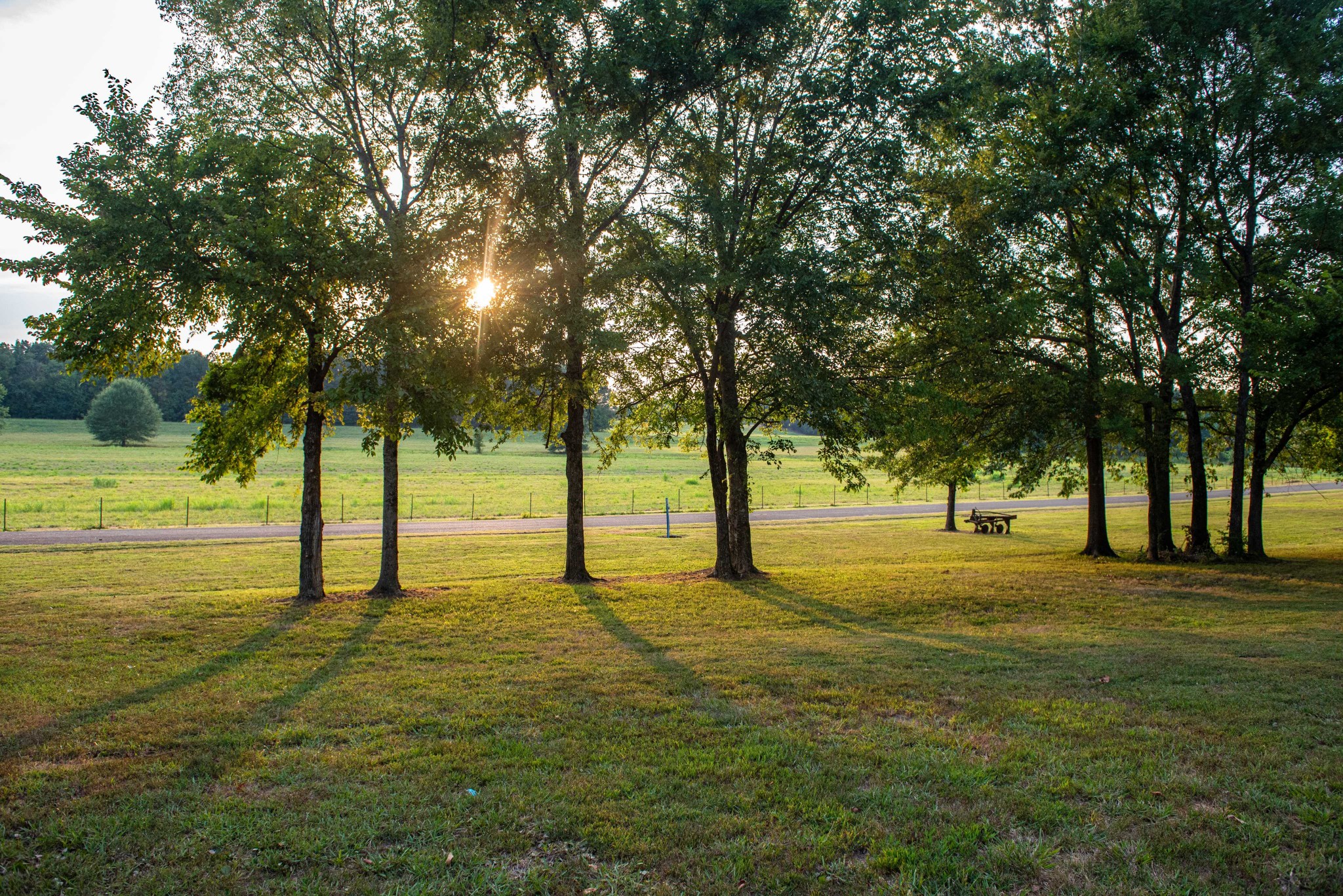 0 Leath Road Counce, TN 38326 - Photo 39 of 50 a view of an trees with yard