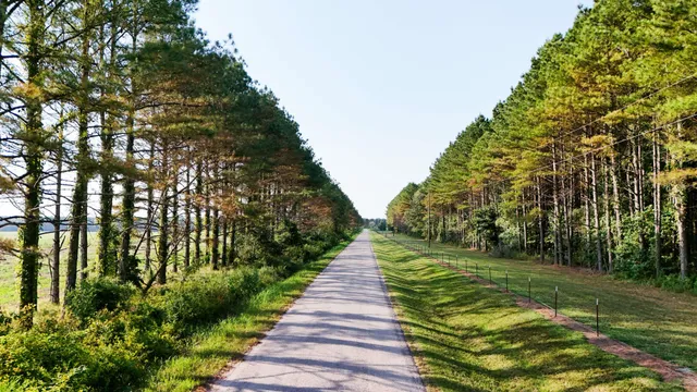 a view of a lush green outdoor space with a lake view
