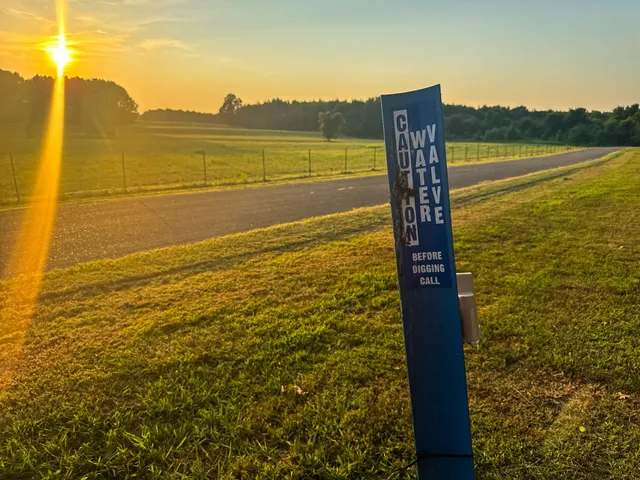 a view of a forest with trees in the background