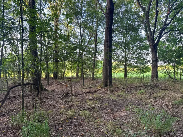 $1,599,000 | 0 Leath Road, Counce, TN 38326