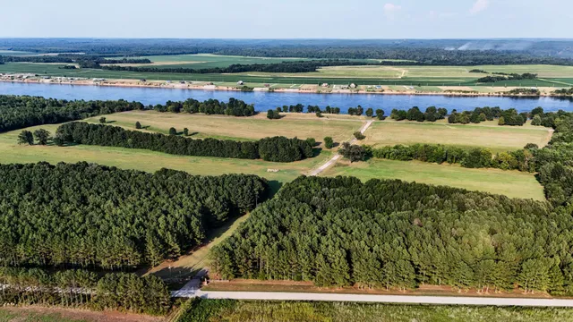 a view of street along with trees