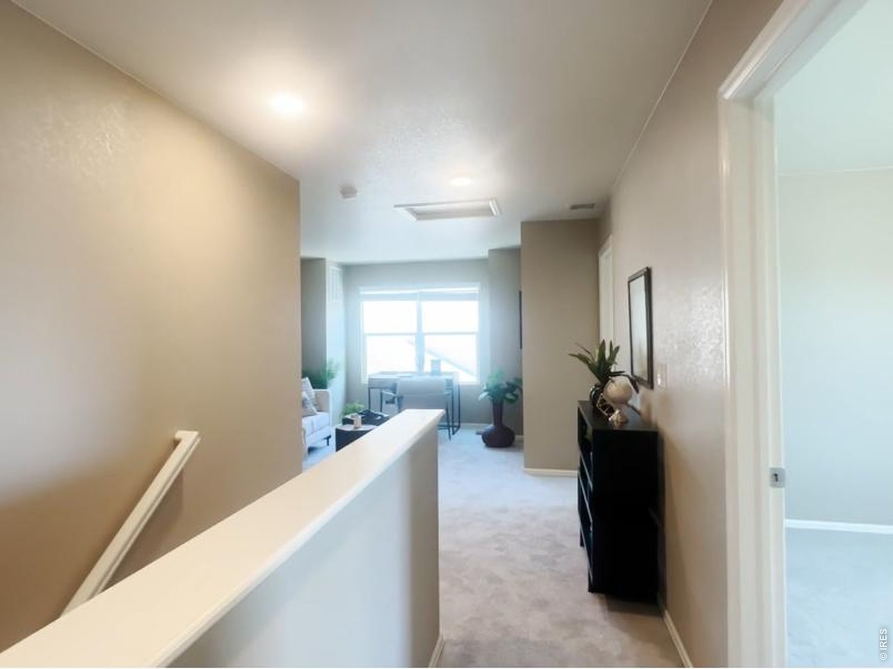 1663 Highfield Drive Windsor, CO 80550 - Photo 8 of 15