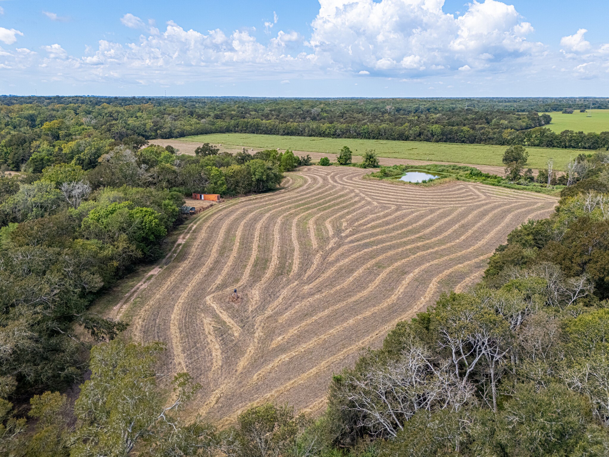 2602 North Fm 2429 Cat Spring, TX 78933 - Photo 21 of 23