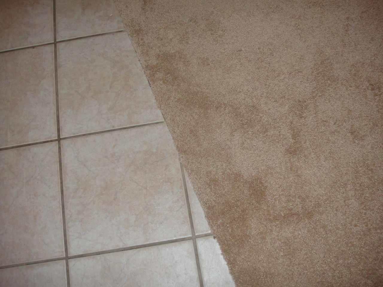 14835 South 26th Way Phoenix, AZ 85048 - Photo 11 of 14 Flooring Sample