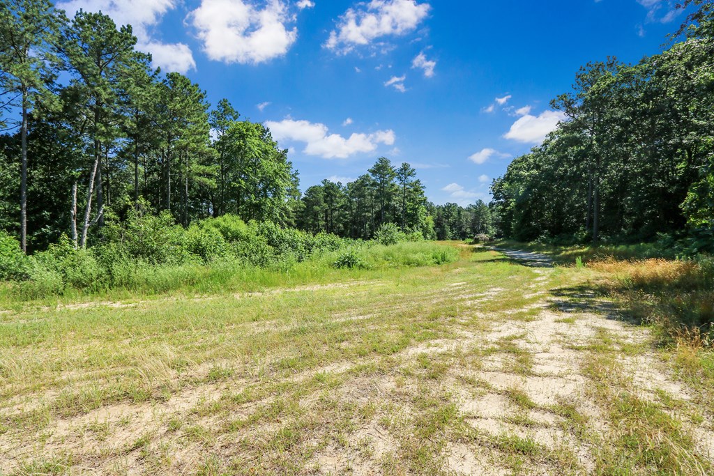 Lot 6 Fleming Road, Unit 6 Horntown, VA 23395 - Photo 9 of 26