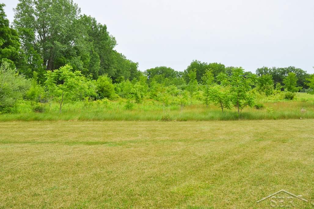 6730 Mielke Road Freeland, MI 48623 - Photo 38 of 40 31351007-37.JPG