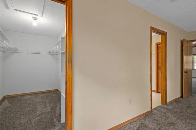 a view of a house with a yard and plants