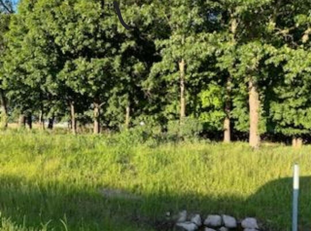 131 Hwy Three Rivers Mi 49093 Highway Three Rivers, MI 49093 - Photo 2 of 3 us 131 pic 2