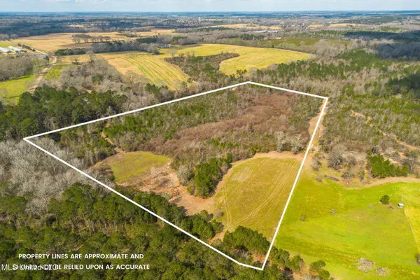 $100,000 | Stovall Road, Kokomo, MS 39643