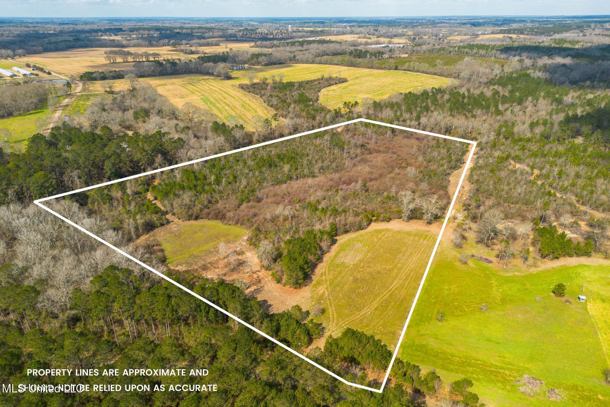 Stovall Road Kokomo, MS 39643 - Photo 2 of 8 0 Stovall Road-2