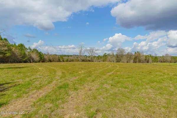 $100,000 | Stovall Road, Kokomo, MS 39643