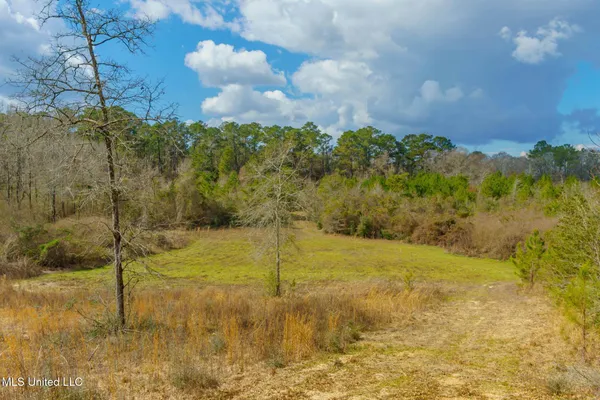 $100,000 | Stovall Road, Kokomo, MS 39643