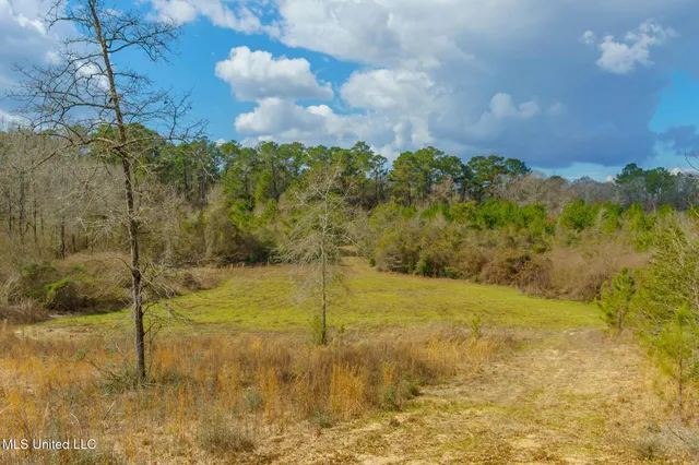 $100,000 | Stovall Road, Kokomo, MS 39643