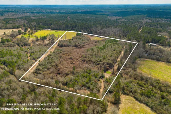 $100,000 | Stovall Road, Kokomo, MS 39643